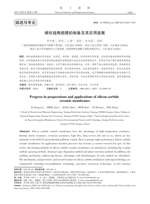 碳化硅陶瓷膜的制备及其应用进展