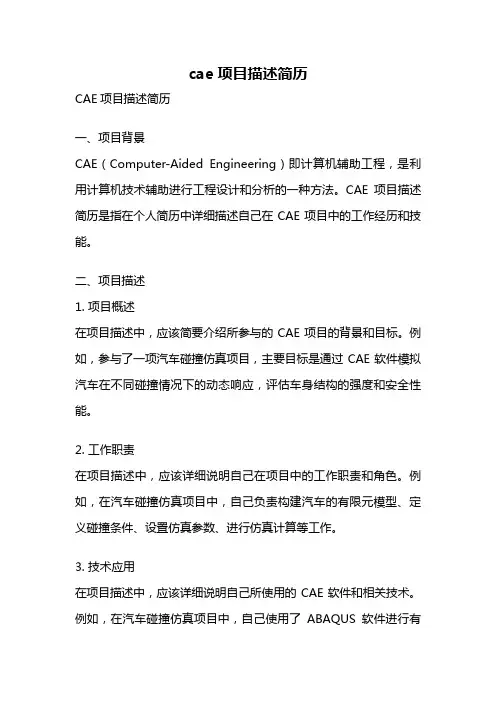 cae项目描述简历