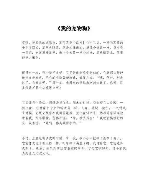 《我的宠物狗》