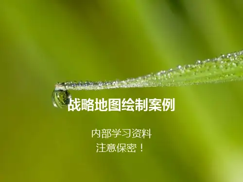 战略地图绘制案例