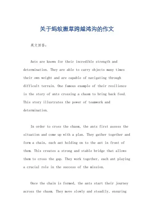 关于蚂蚁搬草跨越鸿沟的作文