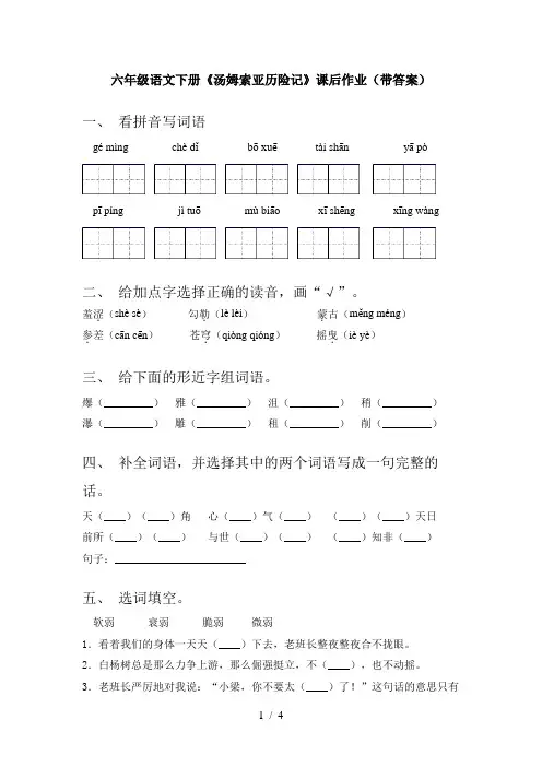 六年级语文下册《汤姆索亚历险记》课后作业(带答案)