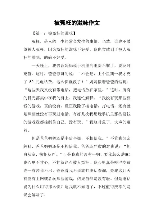 被冤枉的滋味作文
