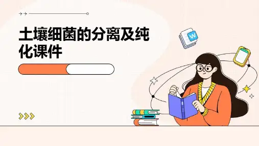 土壤细菌的分离及纯化课件
