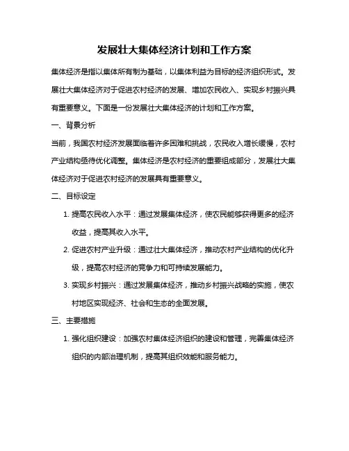 发展壮大集体经济计划和工作方案