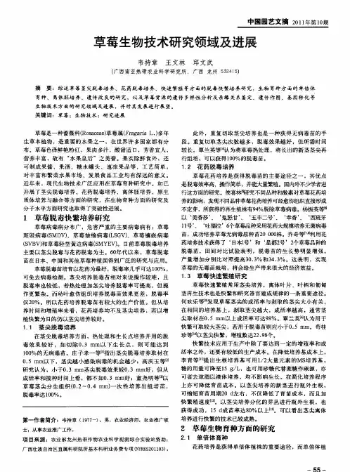 草莓生物技术研究领域及进展