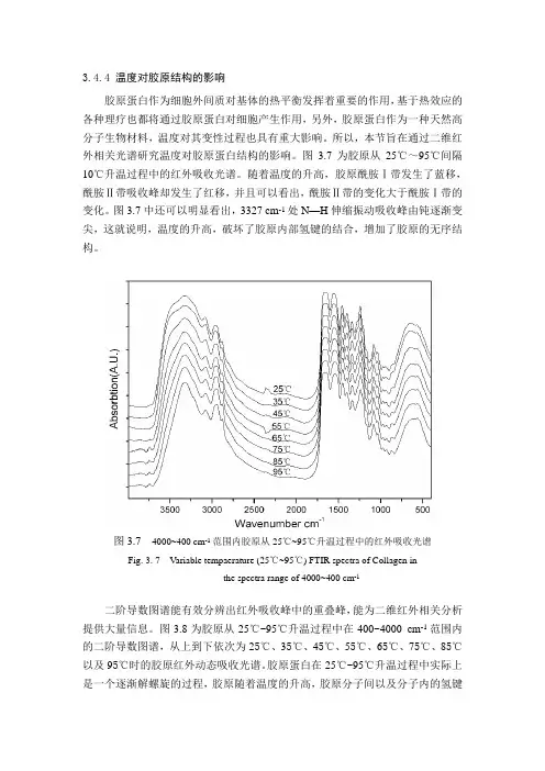 温度对胶原结构的影响(二维红外)