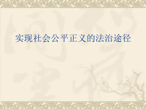 实现社会公平正义的法治途径