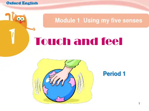 Unit1 Touch and feel(课堂PPT)