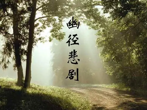 《幽径悲剧》课件解读PPT精品课件