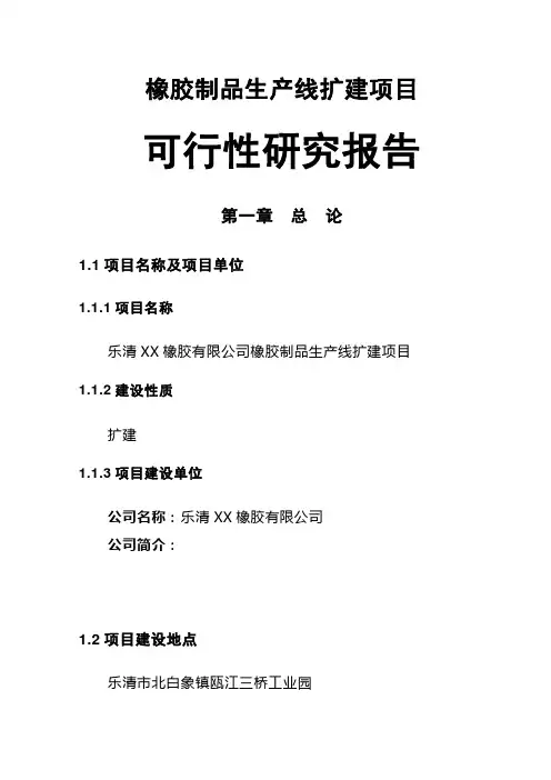橡胶制品生产线扩建项目可行性研究报告