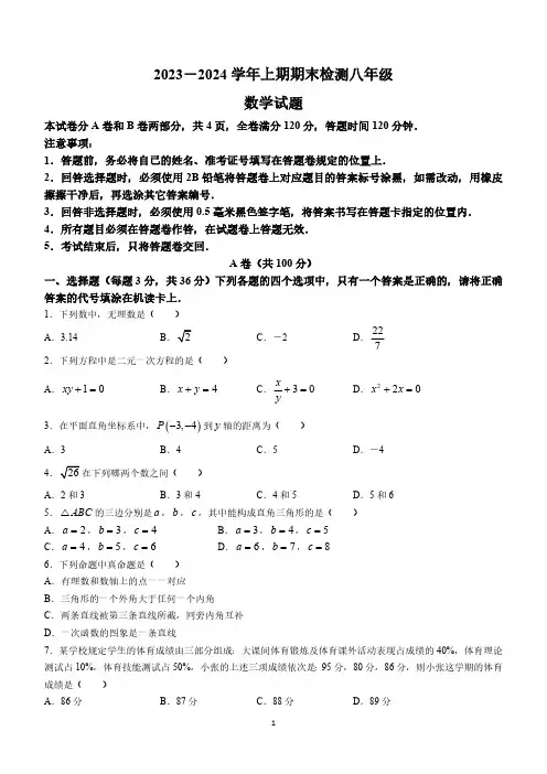 四川省雅安市2023-2024学年八年级上学期期末数学试题(含答案)