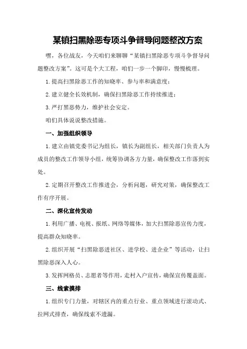 某镇扫黑除恶专项斗争督导问题整改方案