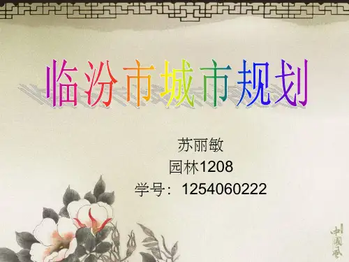 临汾城市规划战略ppt课件