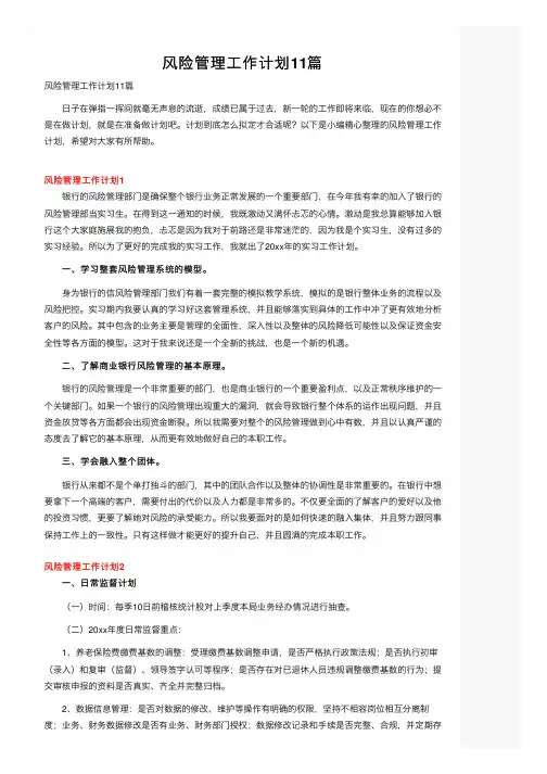 风险管理工作计划11篇