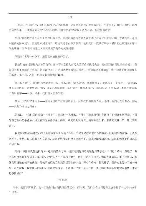 斗牛游戏作文.doc