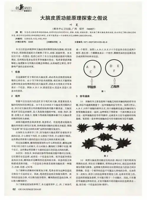 大脑皮质功能原理探索之假说