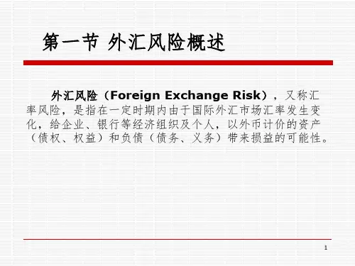 外汇风险管理PPT课件