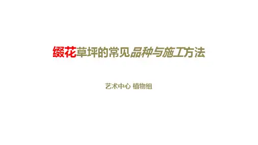 缀花草坪的常见品种与施工方法
