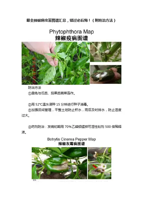 最全辣椒病虫害图谱汇总，错过必后悔！（附防治方法）