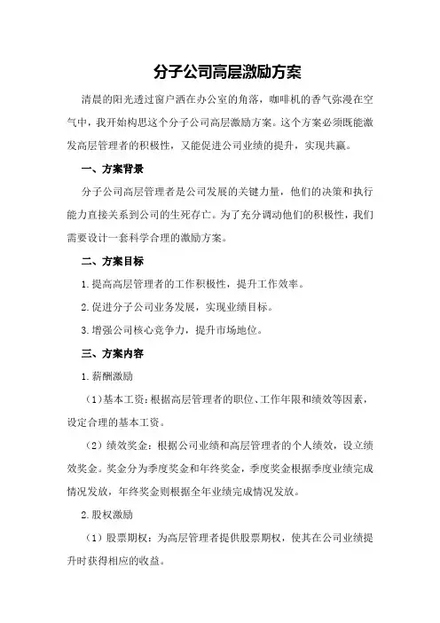 分子公司高层激励方案