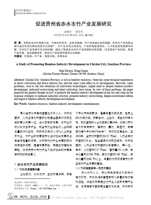 促进贵州省赤水市竹产业发展研究