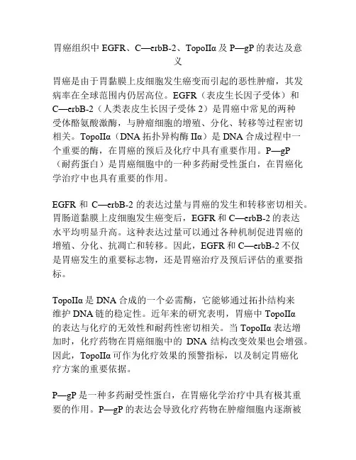 胃癌组织中EGFR、C—erbB-2、TopoIIα及P—gP的表达及意义