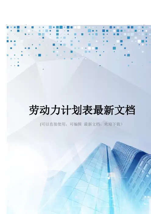 劳动力计划表最新文档