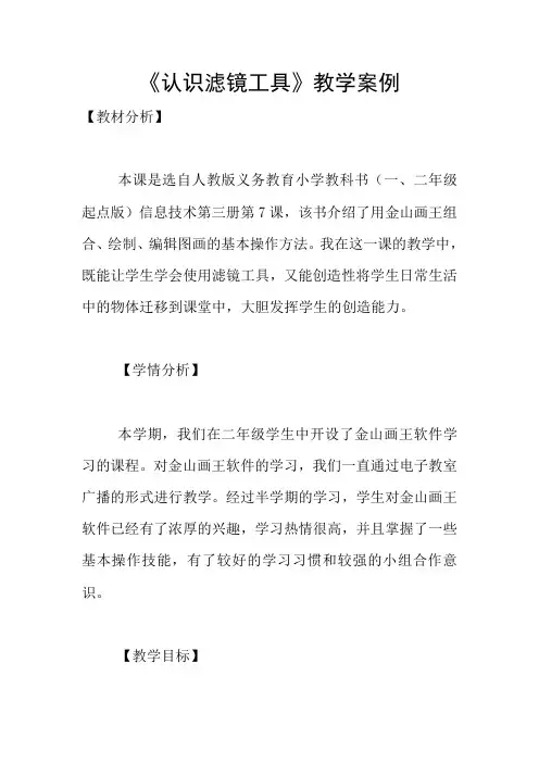 《认识滤镜工具》教学案例