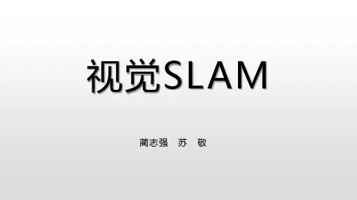 视觉SLAM