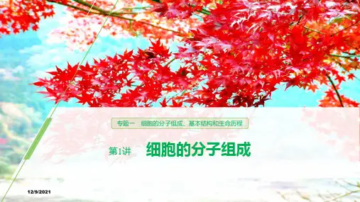 高考生物二轮复习 专题一 细胞的分子组成、基本结构和生命历程 第1讲 细胞的分子组成课件