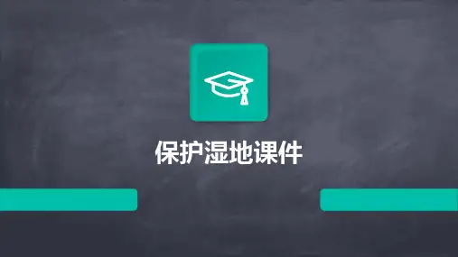 保护湿地课件ppt