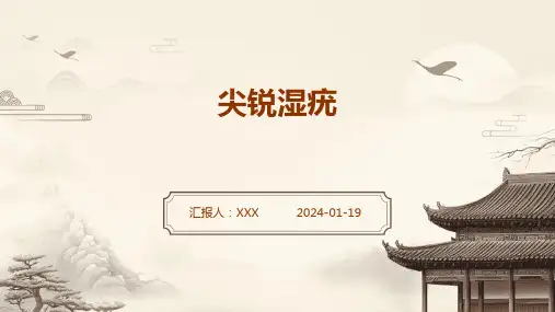 尖锐湿疣演示ppt课件