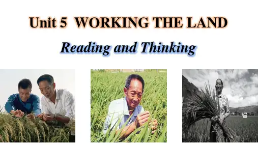  Reading and Thinking 课件--高中英语人教版(2019)选择性必修第一册