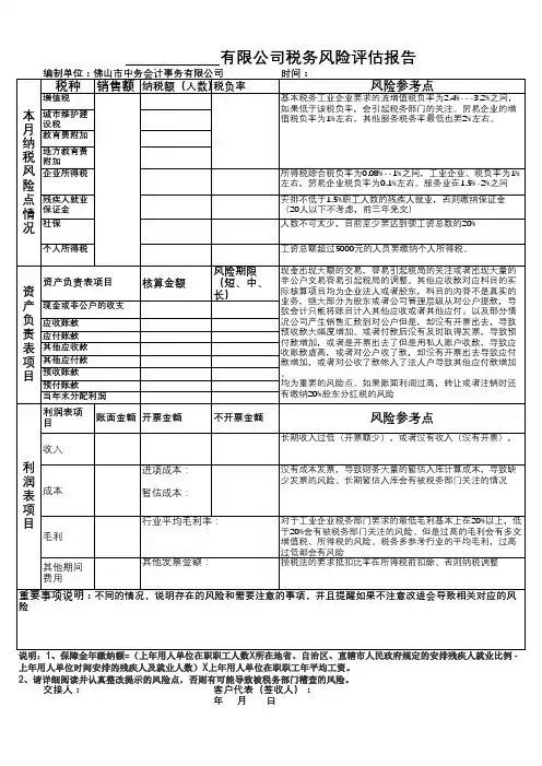 税务风险评估报告