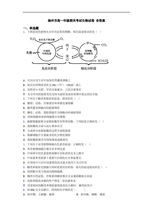 扬州市高一年级期末考试生物试卷 含答案