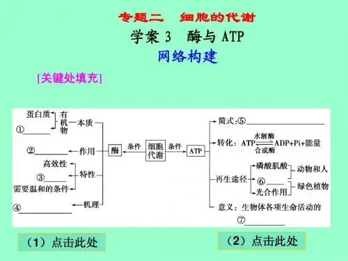 【高考二轮复习】专题二学案3：酶与ATP
