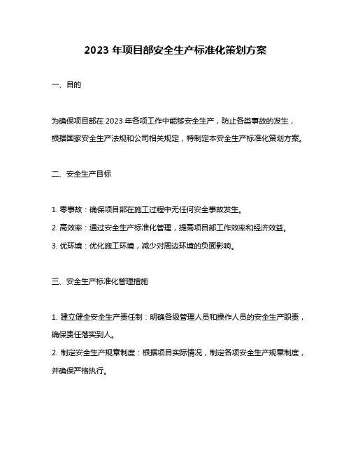 2023年项目部安全生产标准化策划方案