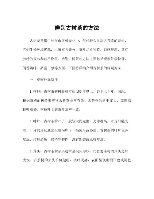 辨别古树茶的方法