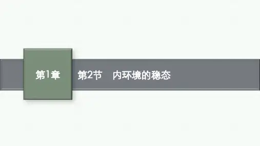 人教版高中生物学选择性必修1稳态与调节精品课件 第1章 人体的内环境与稳态 第2节 内环境的稳态
