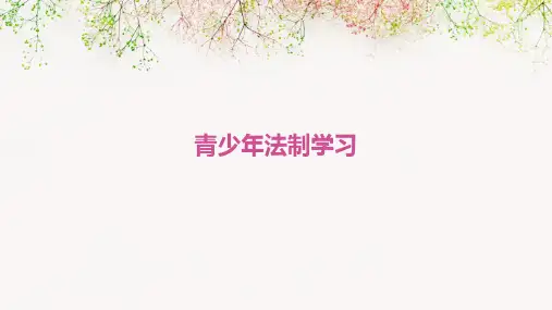 青少年法制学习PPT