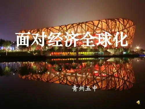 11.1面对经济全球化