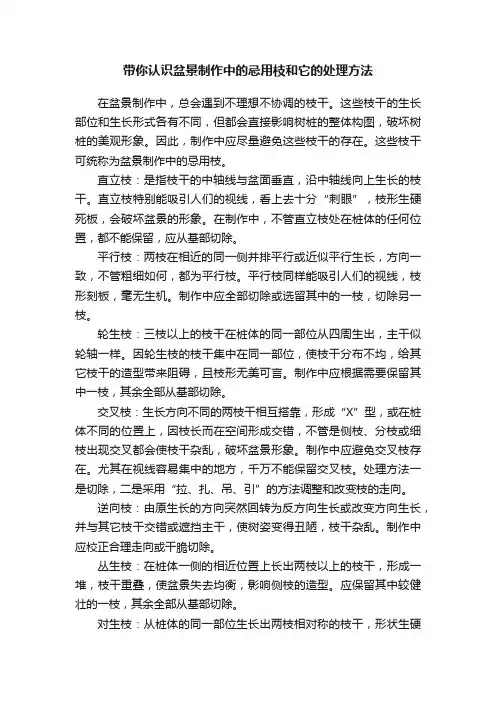 带你认识盆景制作中的忌用枝和它的处理方法