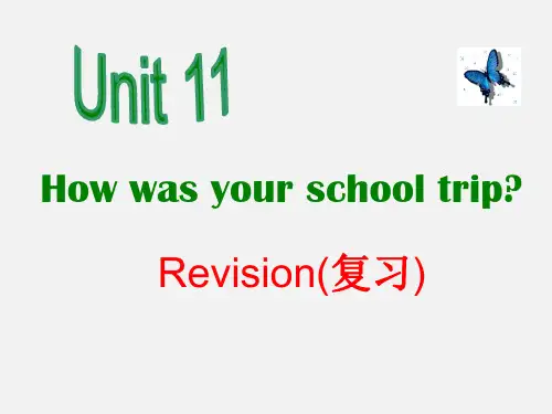 人教版英语 七下 Unit11 全单元 复习课件(共32张PPT)