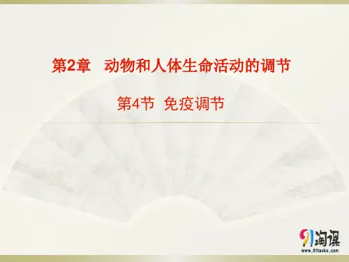 课件3：2.4 免疫调节