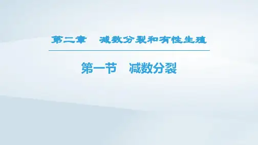 20182019高中生物第2章减数分裂和有性生殖第1节减数分裂