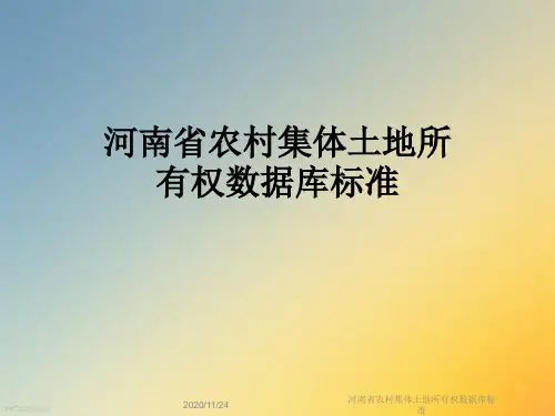 河南省农村集体土地所有权数据库标准