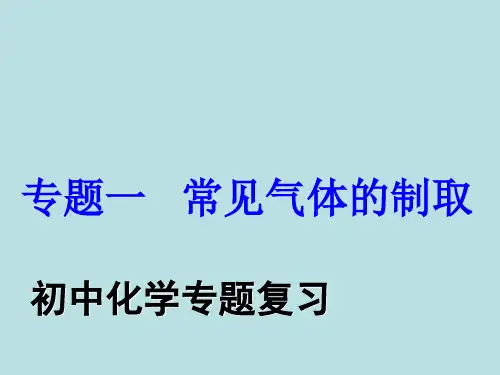 人教版初中化学复习课：专题一：常见气体的制取 课件
