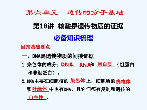 核酸是遗传物质的证据