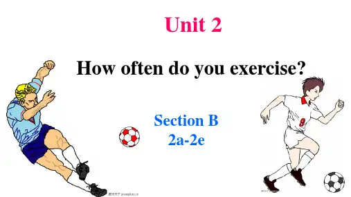 Unit2SectionB2a-2e课件人教版八年级英语上册2
